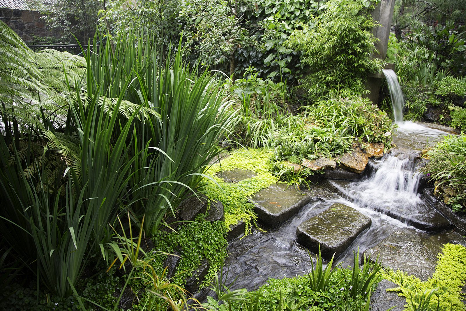 El Arroyo de Piedra — agua entre piedras y helechos