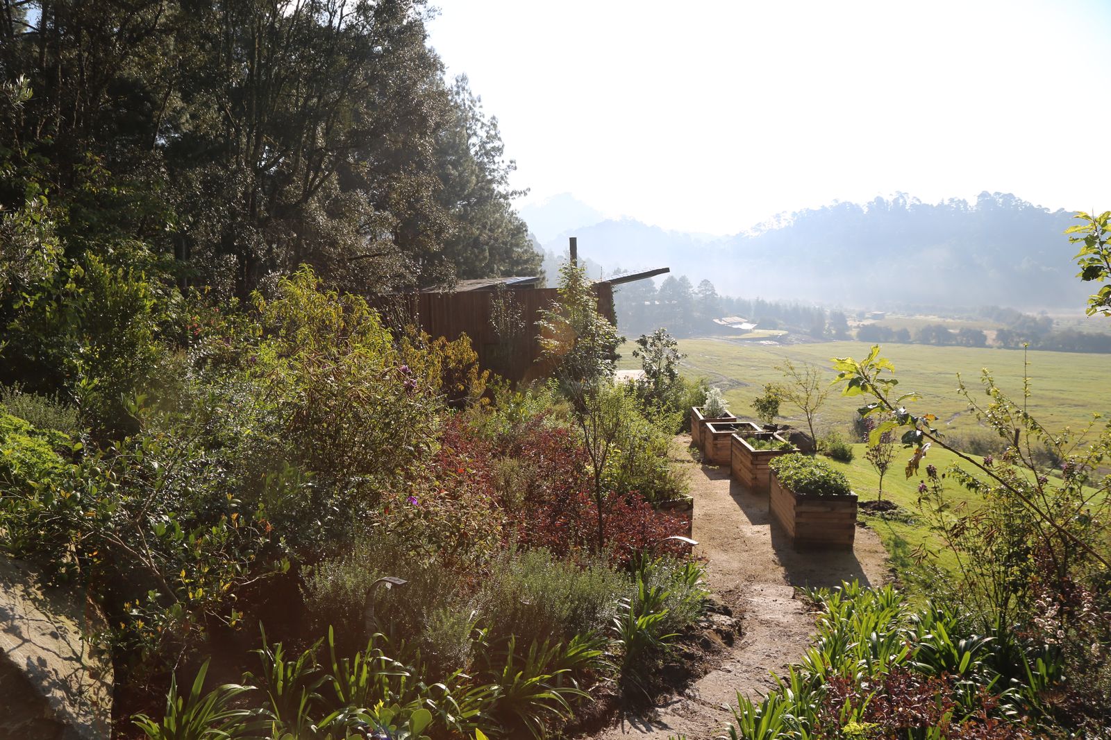 Jardín regenerativo con huerto en curvas de nivel y frutales, Valle de Bravo