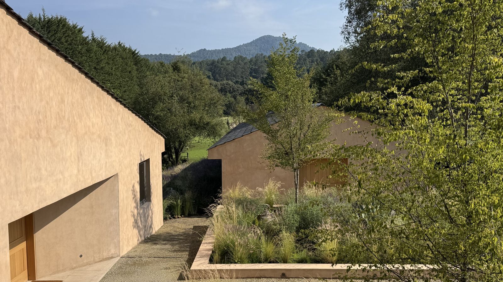 Jardín silvestre con pastos ornamentales y praderas nativas en Valle de Bravo