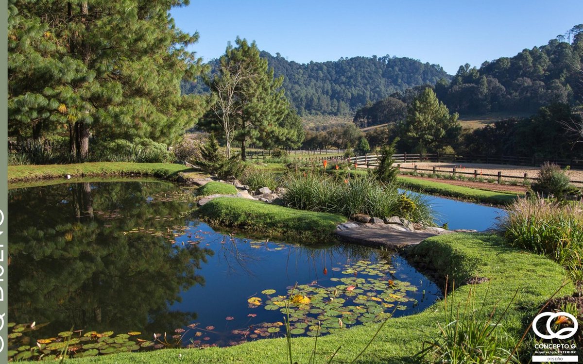 Sistema de agua integrado al jardín, Valle de Bravo