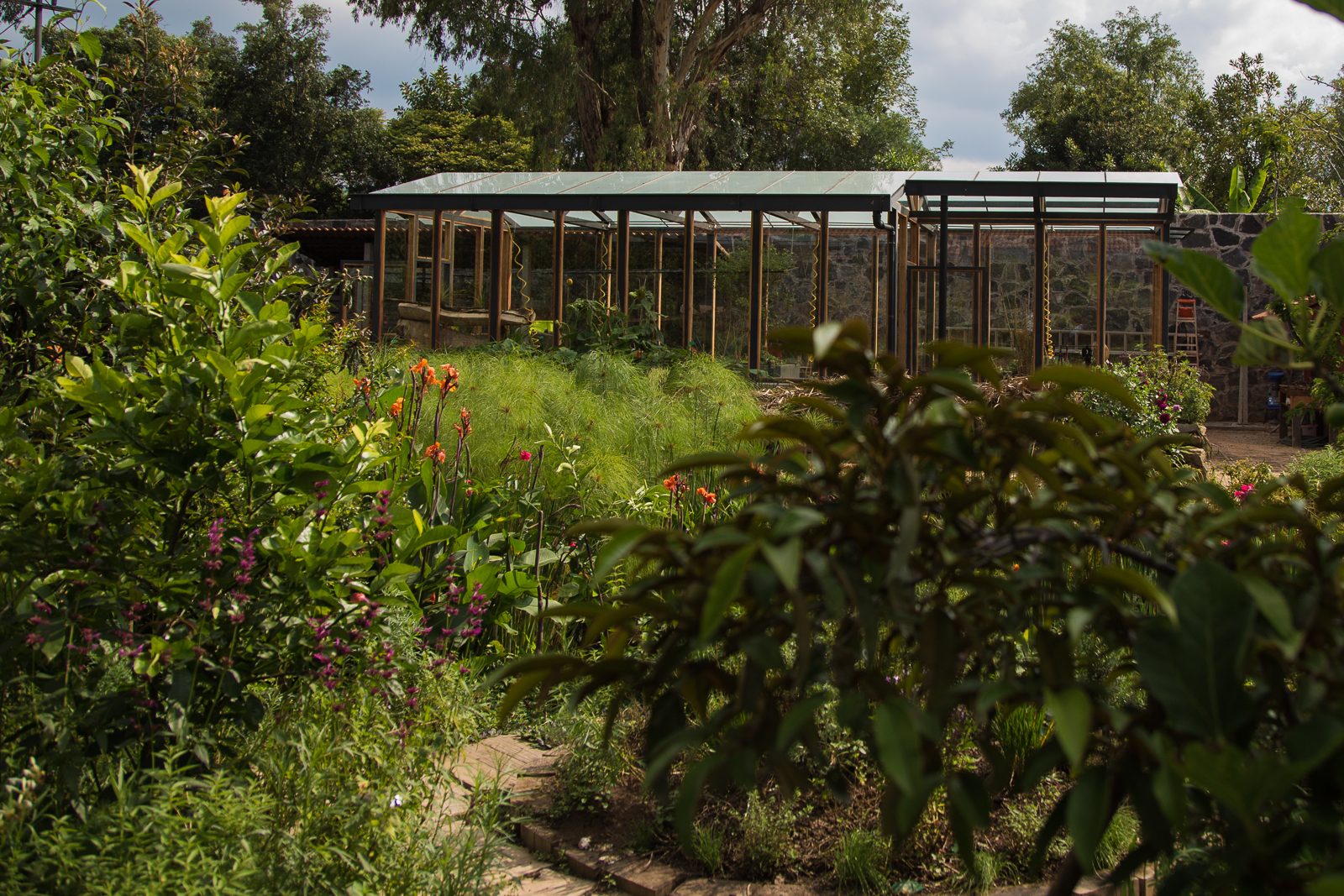 El Invernadero — estructura de cristal y acero con cultivo
