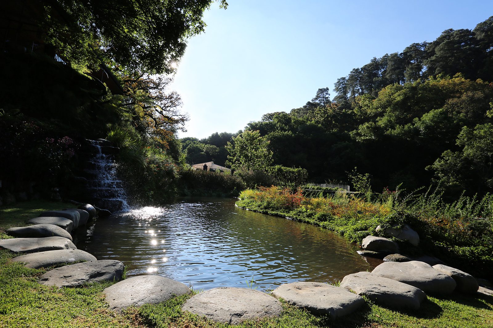 El Sendero del Agua — piedras sobre estanque