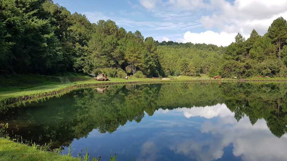 Santuarios de quietud — lago con el reflejo del bosque y el cielo en Valle de Bravo