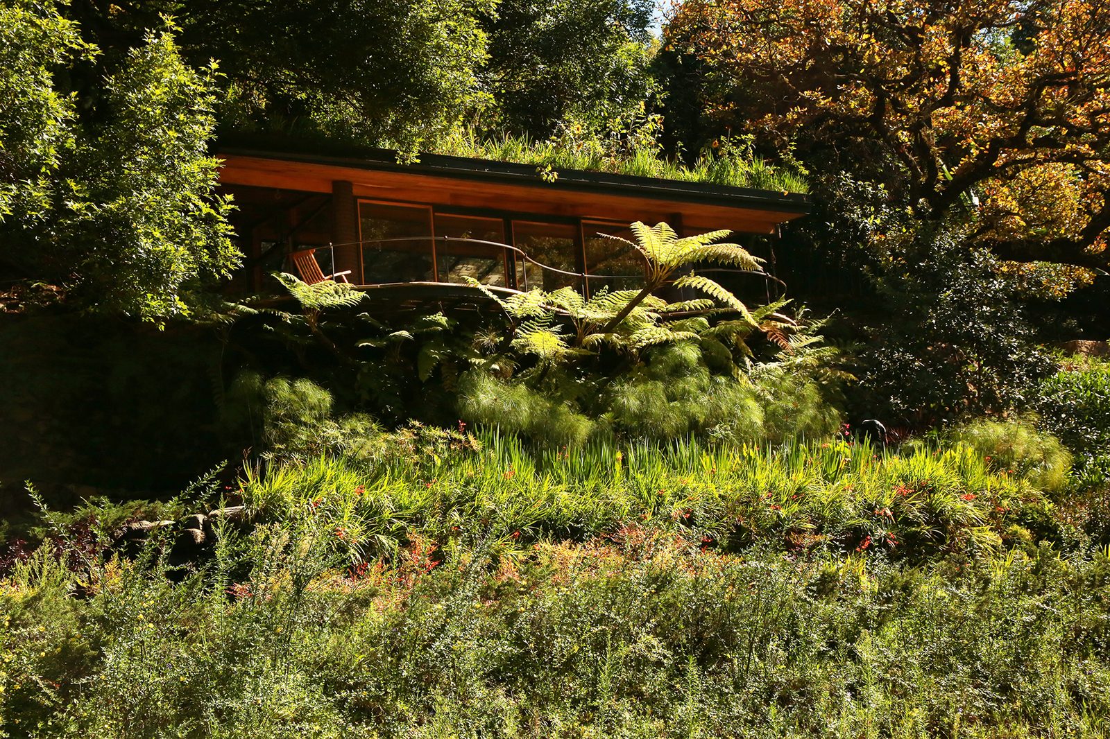 Ecosistemas regenerativos — arquitectura cubierta de vegetación viva