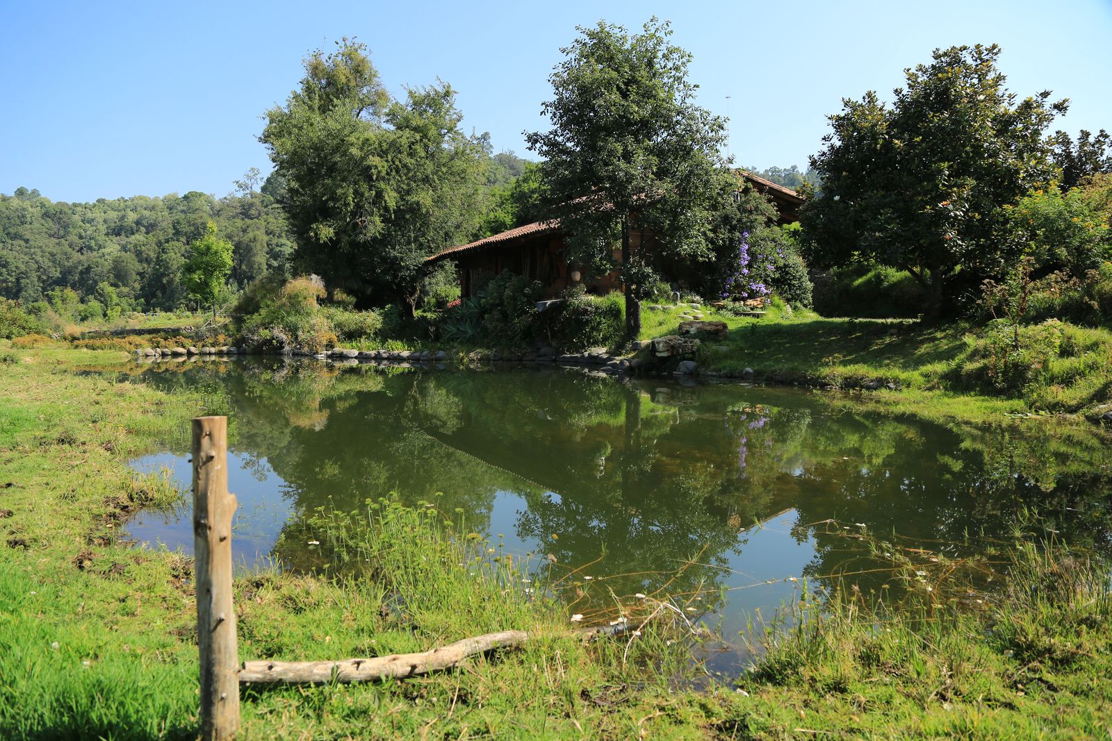 Estanque y espejo de agua en jardín de Valle de Bravo, proyecto Concepto Q